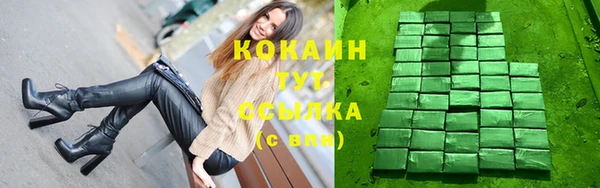 ПСИЛОЦИБИНОВЫЕ ГРИБЫ Арсеньев