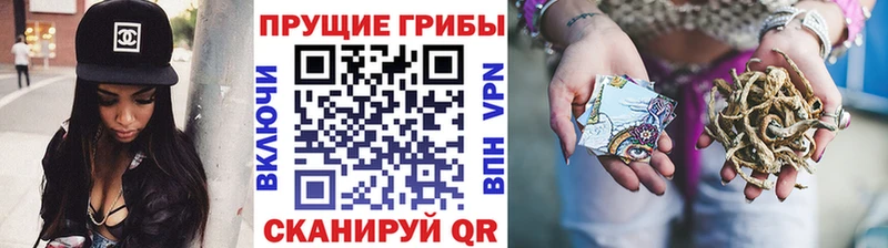 shop формула  гидра ссылки  Кириши  Псилоцибиновые грибы GOLDEN TEACHER 